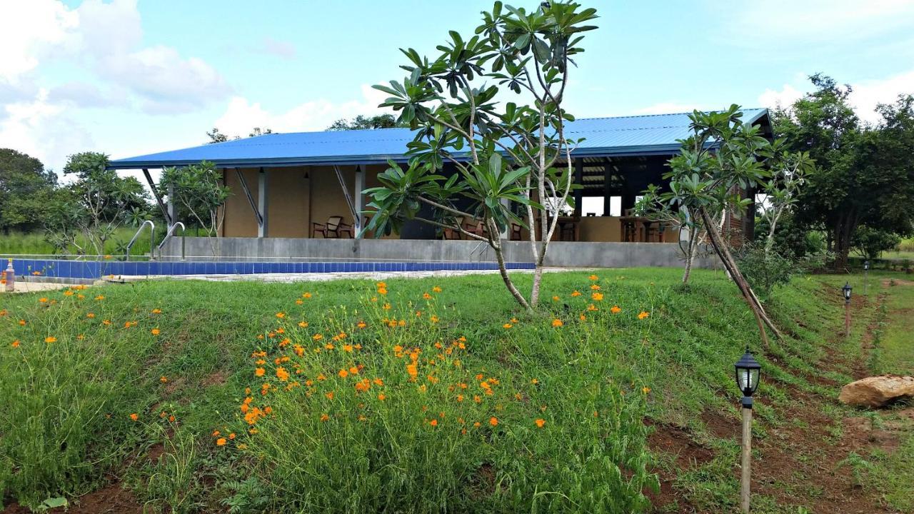 Hotel Birdwing Sigirîya Extérieur photo